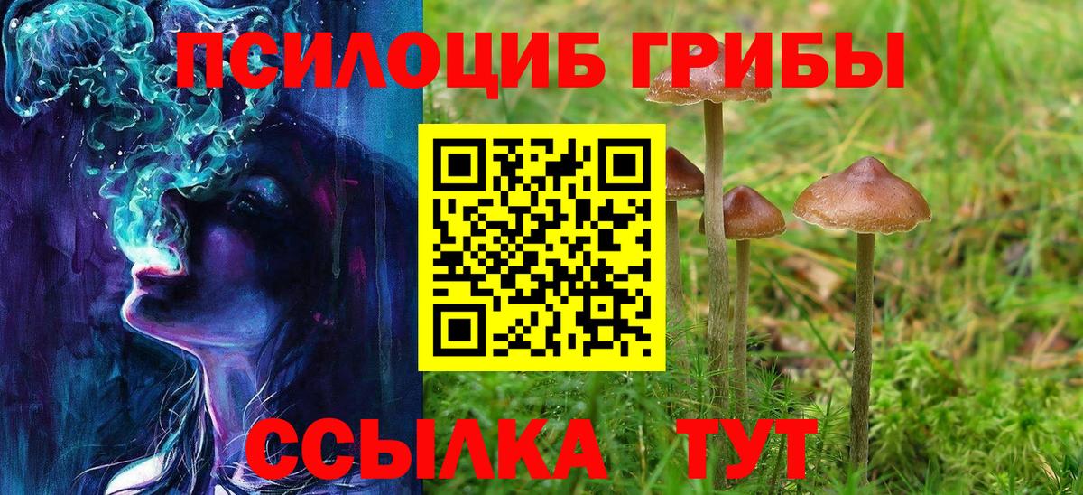 Псилоцибиновые грибы Magic Shrooms Киржач